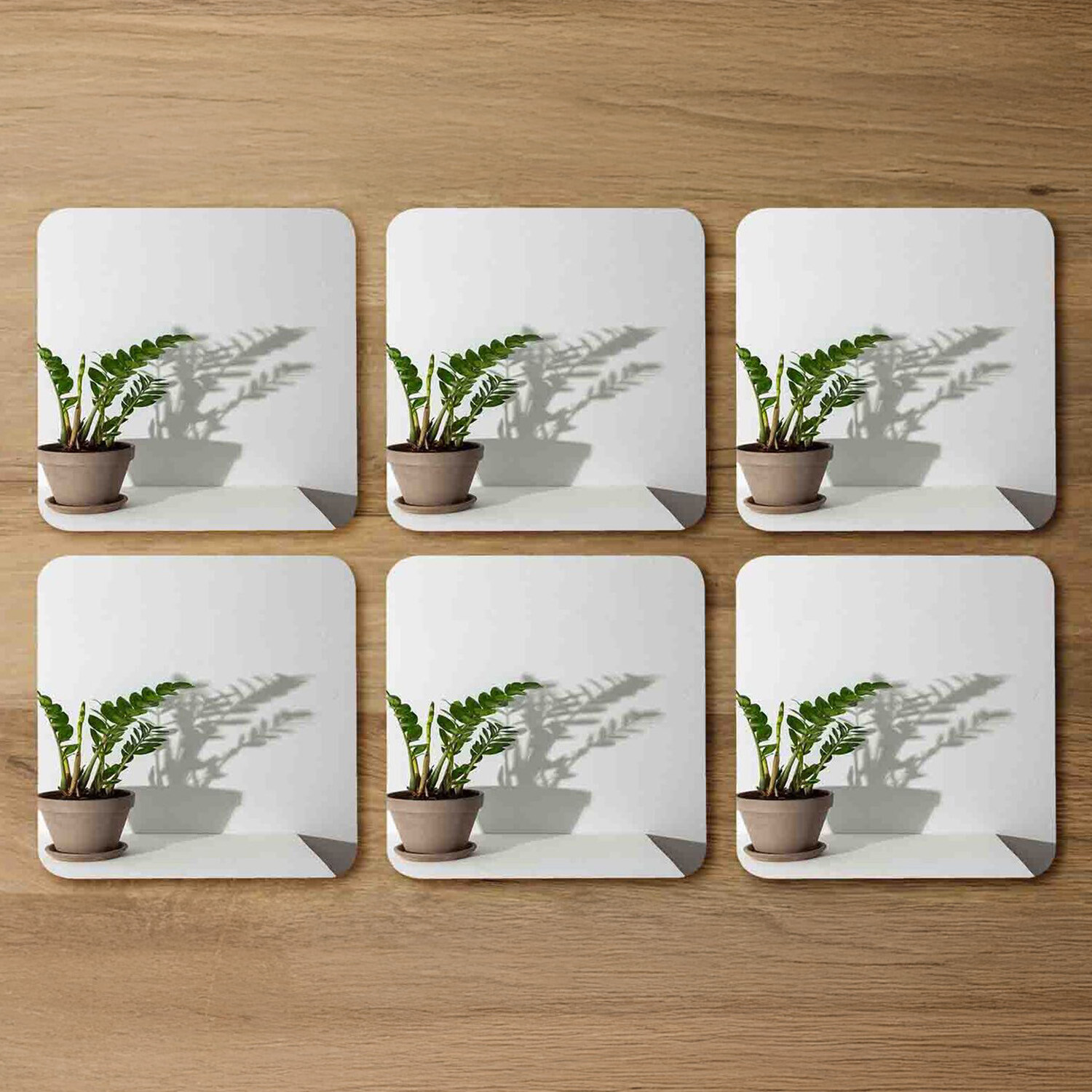 Image of Zamioculcas Coaster Set - Green