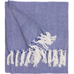 Dessa Woven Indoor and Outdoor Throw