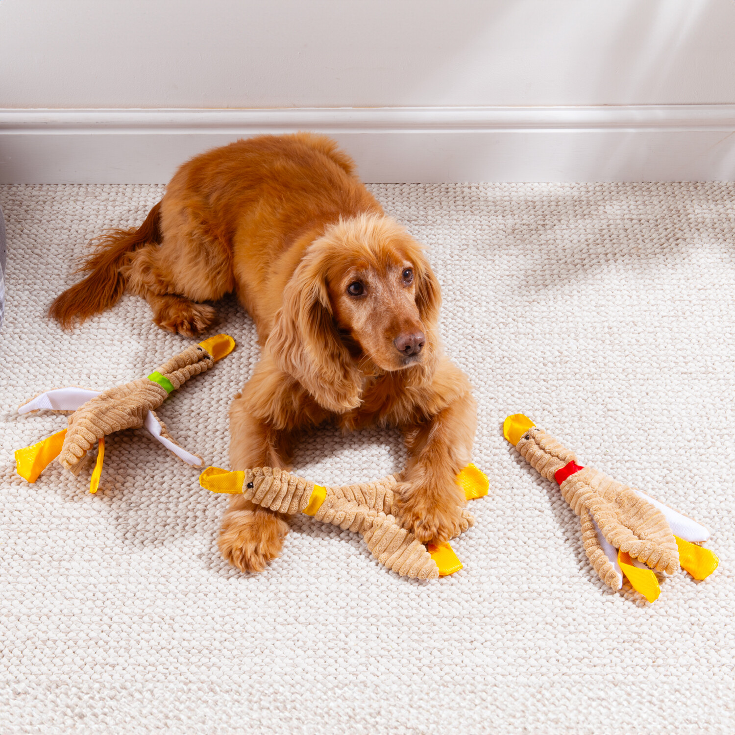 Unstuffed Crinkly Duck Dog Toy