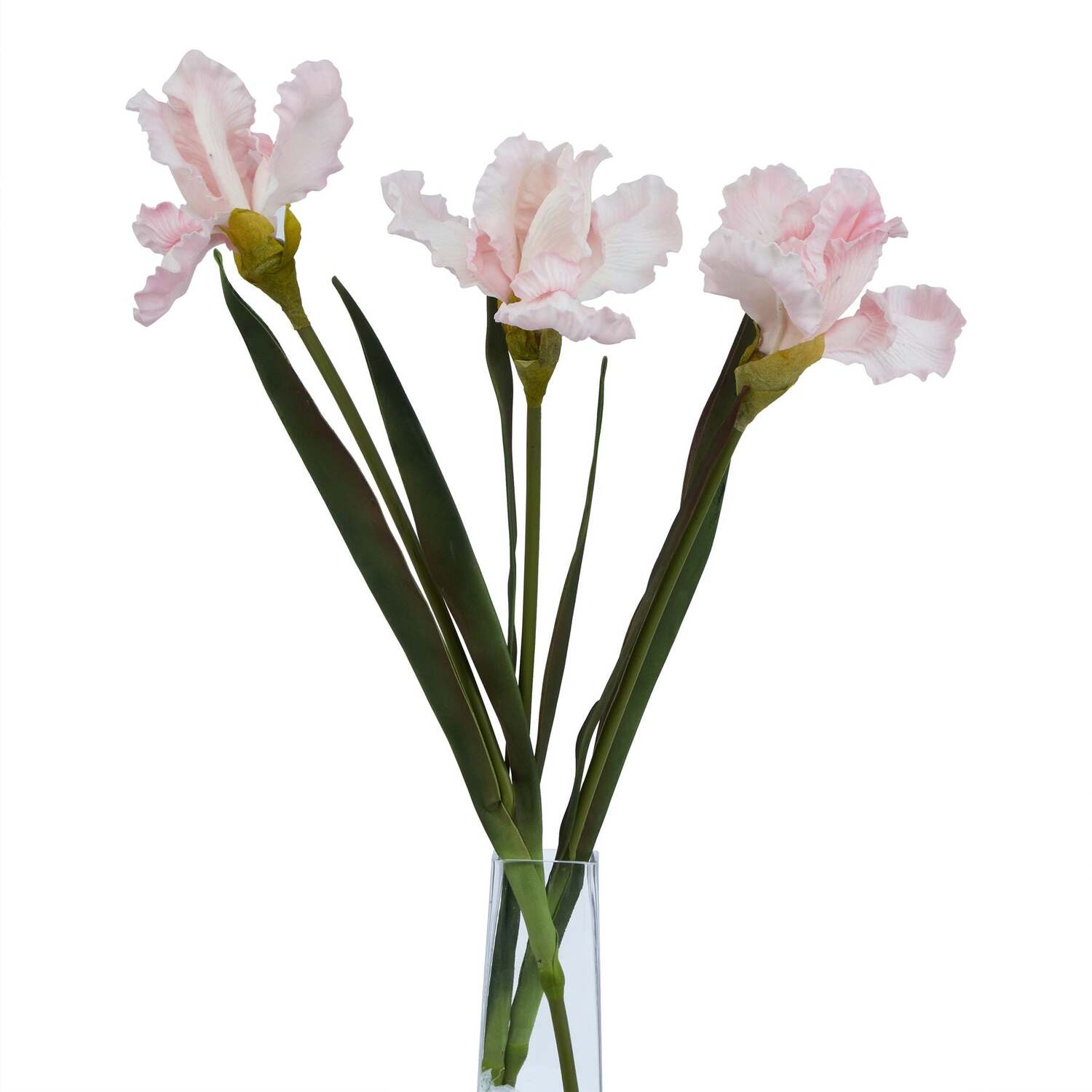 Wyld Haus Pale Pink Fringed Iris Stems - Set of 3 - Pink