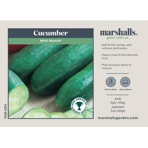 Marshalls Garden Mini Munch F1 Cucumber Seeds, RHS-recommended high-yield snack cucumbers