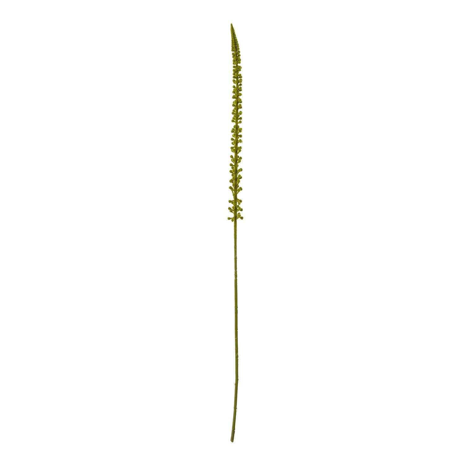 Set of 3 Artificial Eremurus Foxtail Lily Stems - Green