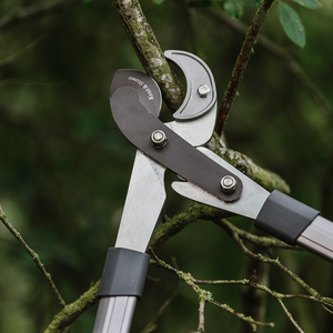 Telescopic Geared Anvil Loppers