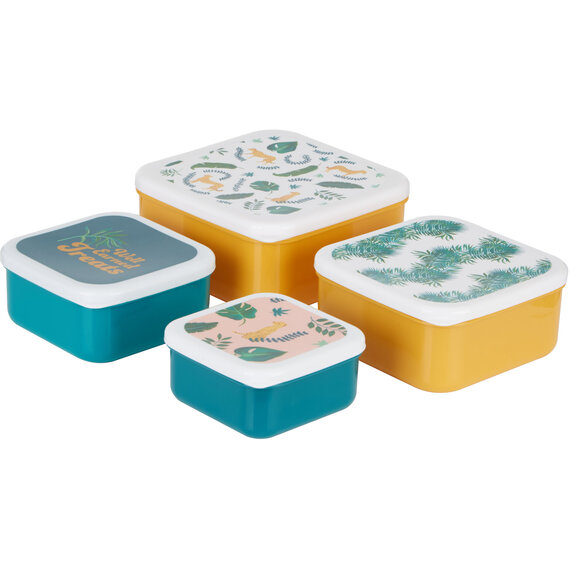 Mimo Set Of 4 Winter Palm Lunch Boxes