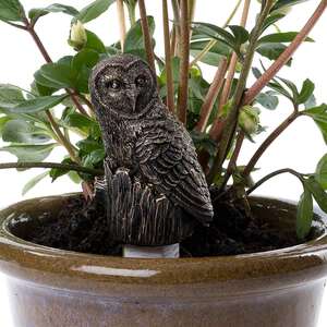 Barn Owl Feed Friend Drip Feed Topper