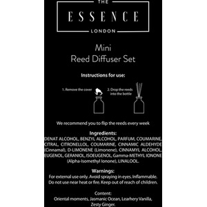 Mini Reed Diffuser Set