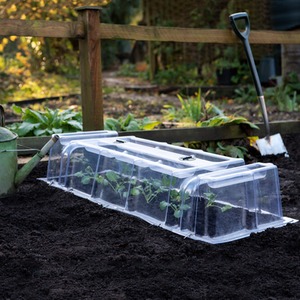 Mini Greenhouse Cloche
