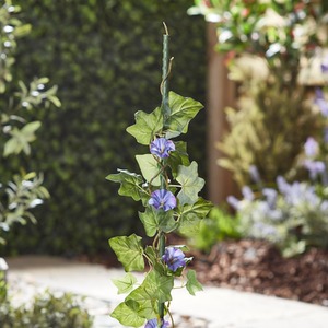 Plant Support Canes
