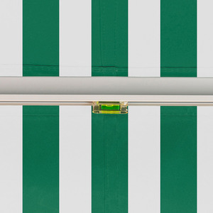 Green and White Electric Retractable Awning 3m x 2.5m shot 7447518