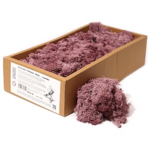 Lavender Reindeer Moss Decorative Craft Floral Filler