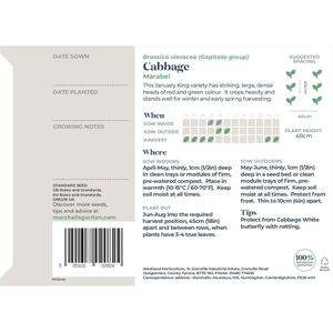 Marshalls Garden Marabel F1 January King Cabbage Seeds - 50 seeds