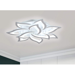 Ceiling Light LED White
