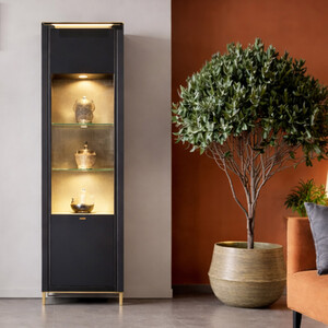 Genoa Matt Finish Display Cabinet