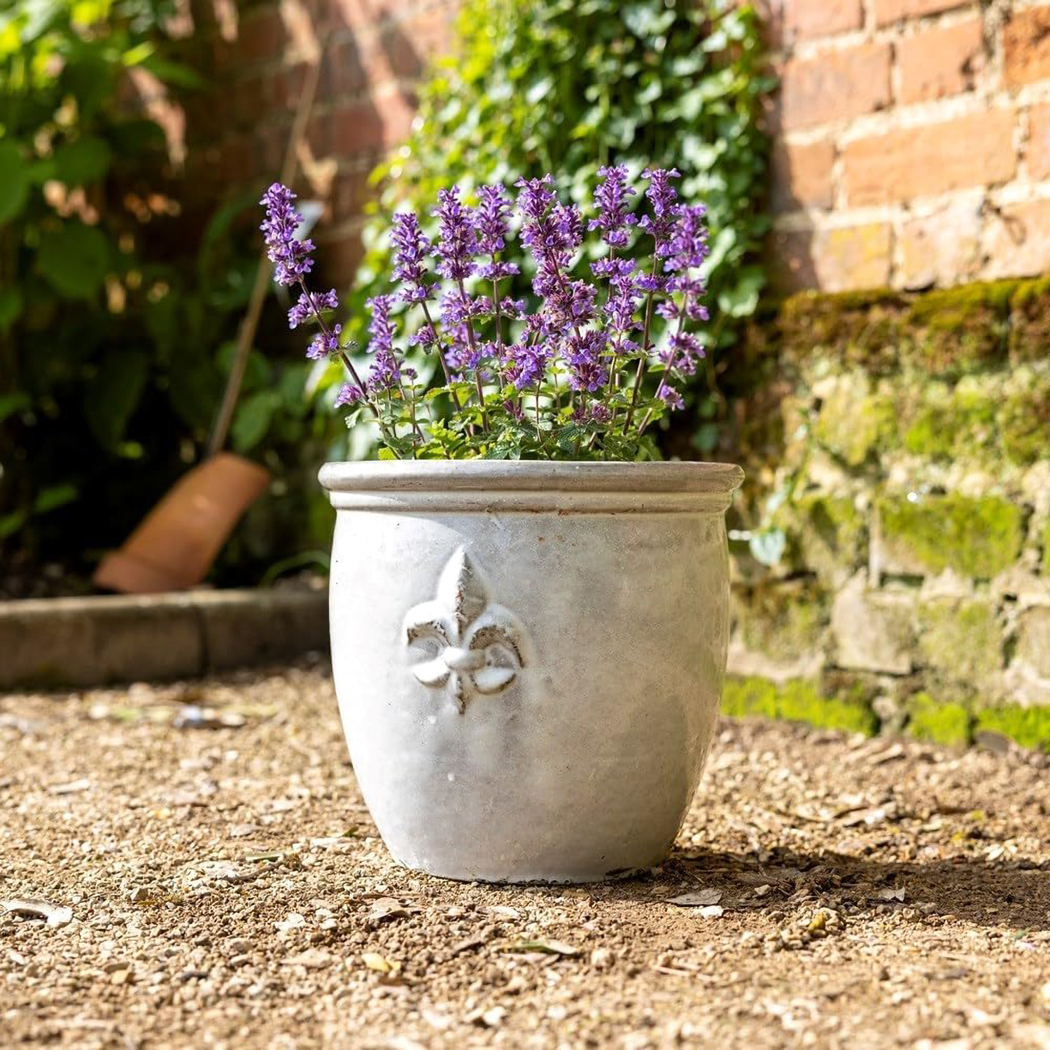 Primrose Small Stoneware Debossed Logo Round Planter In Cream 24cm in White
