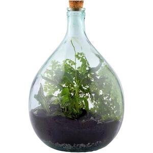 Plant Terrarium Stones Black 5kg