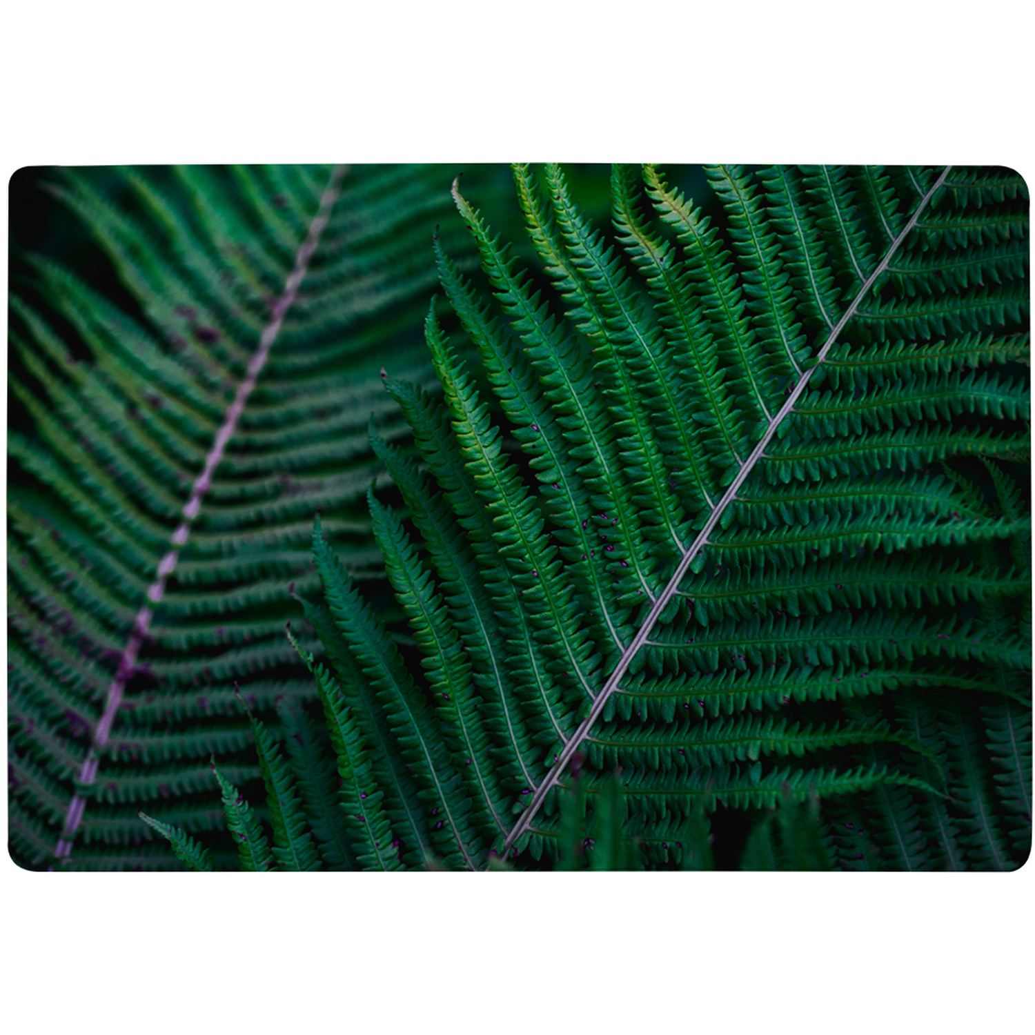 Green Leaves, Abstract Flora Texture Designer Rug - Green / 150cm