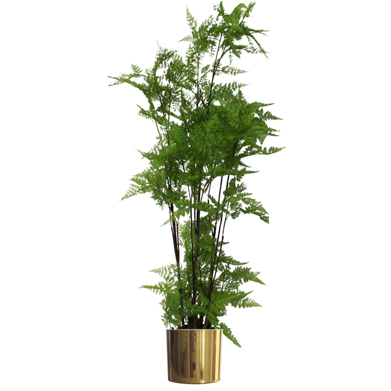 Leaf Extra Large Moss Base Fern Foliage Artificial Plant With Gold Metal Planter 150Cm - Image 4