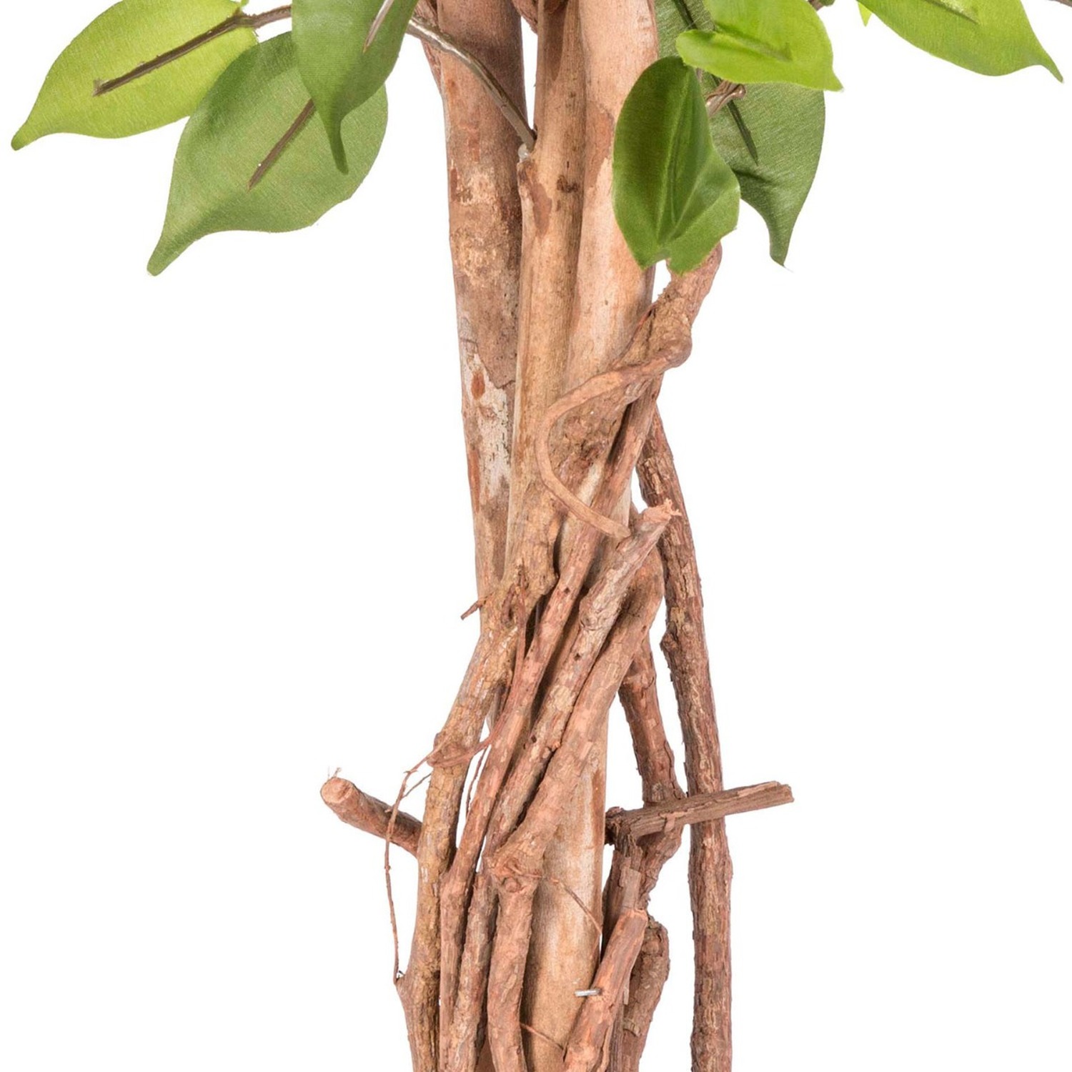 Homescapes Green Ficus Tree Artificial Plant With Twisted Real Wood homescapes-green-ficus-tree-artificial-plant-with-twisted-real-wood