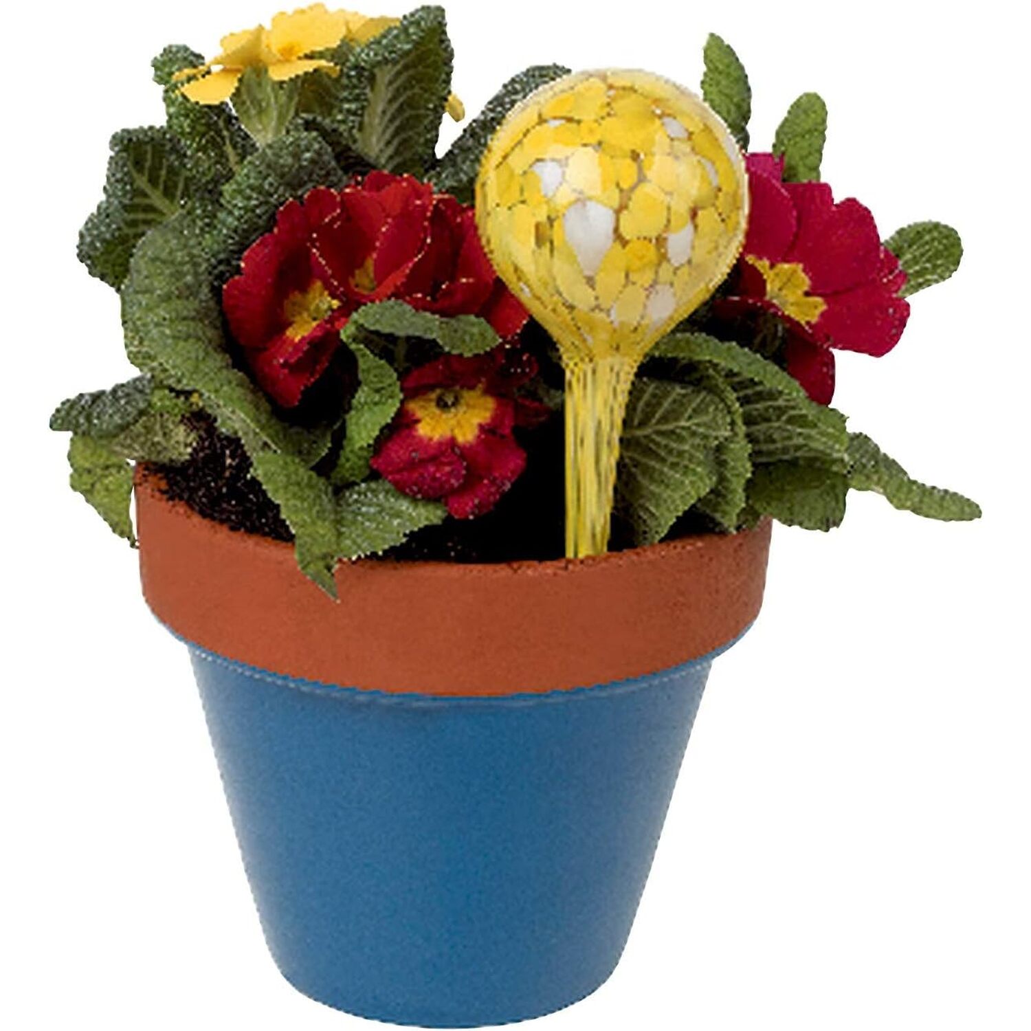 NiHome Cactus Glass Self-Watering Globes 6-Pack - Automatic Plant Watering Stakes