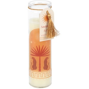 Leopard Palm Tube Candle