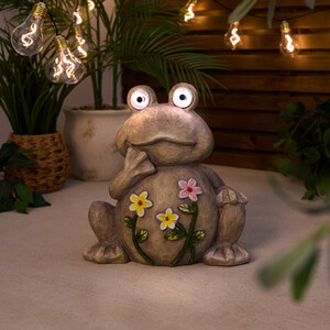 Solar Floral Frog