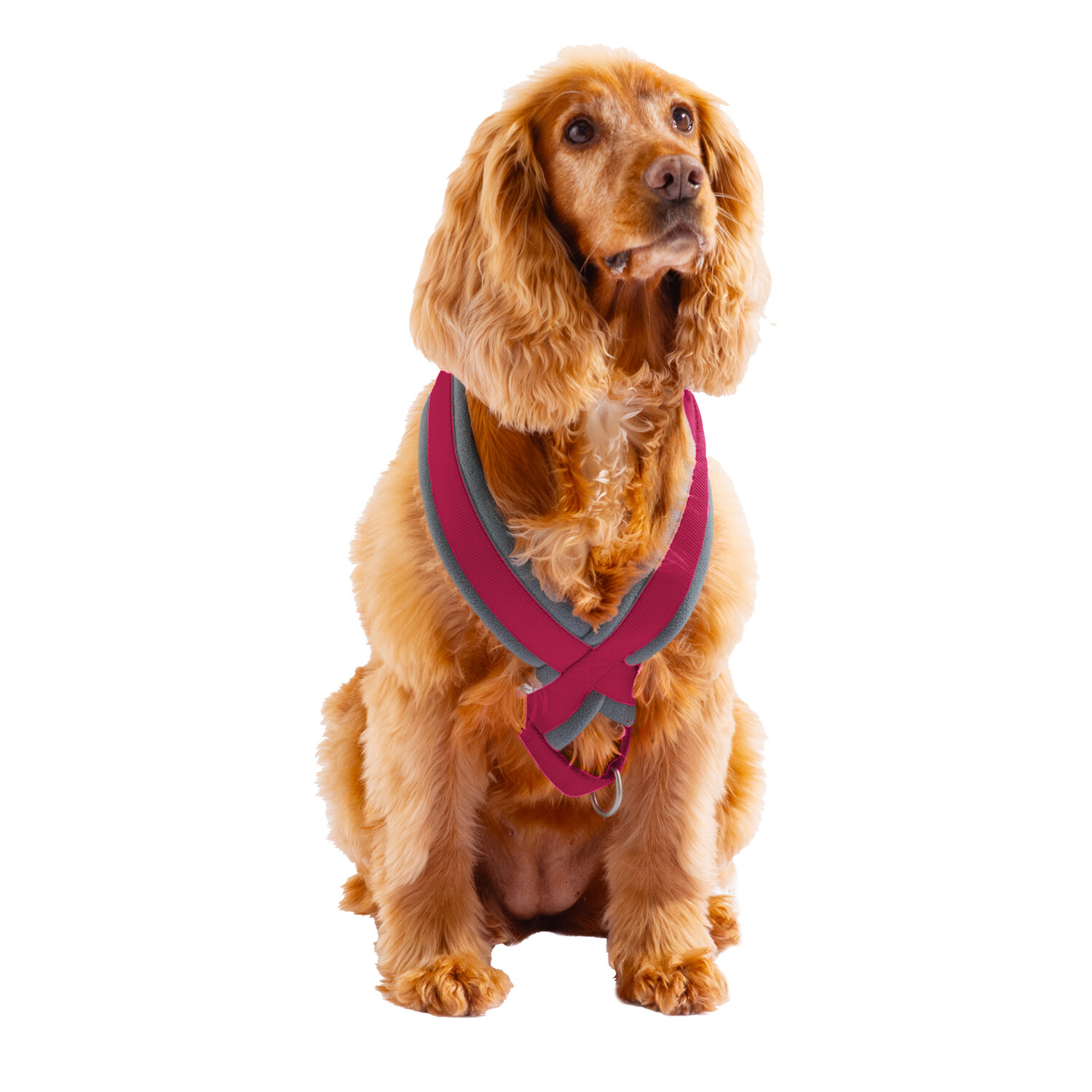 Ancol Padded Harness - Pink / Large