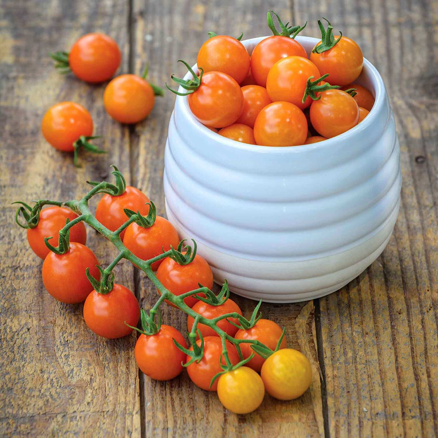 Marshalls Garden Nantes 2 Carrot Seeds - Early, Fast-Maturing Sweet Nantes Variety, 1 g - Orange