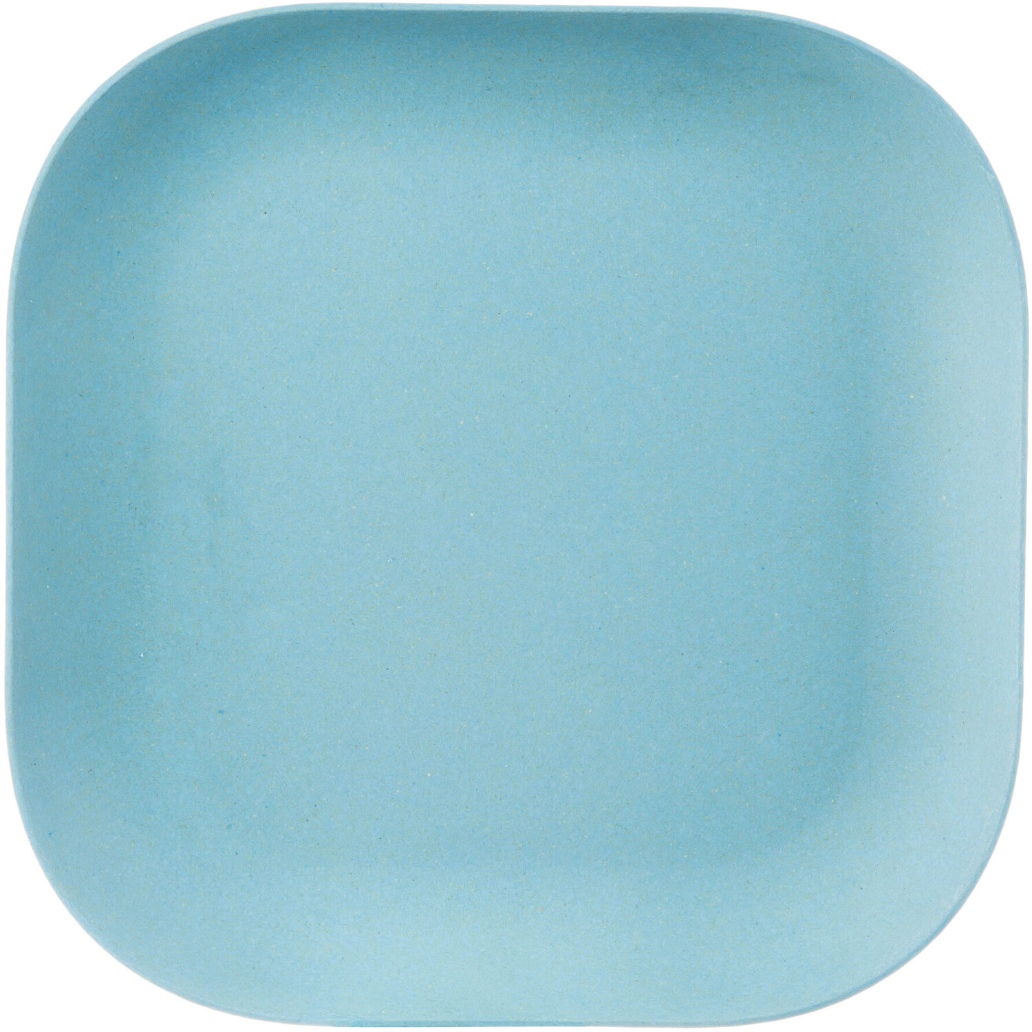 Eden Blue Bamboo Fibre Dinner Plate - Blue