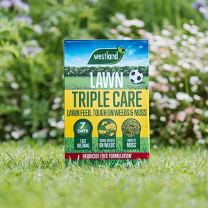Aftercut Triple Care lawn feed - fast greening, moss and weed control
