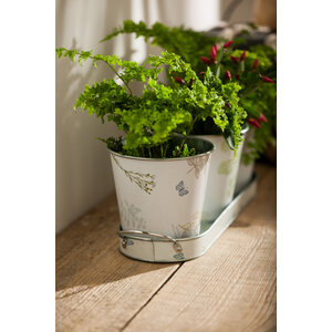 Jardin Set Of Three Pots On Oblong Tray