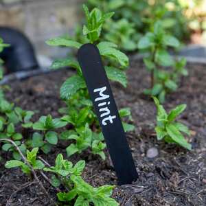 Marshalls Garden Plant Labels