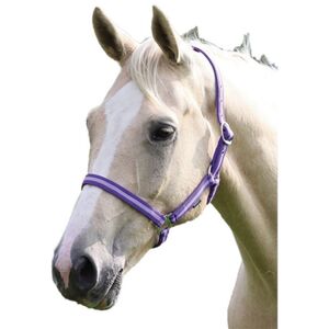 Wessex Horse Headcollar