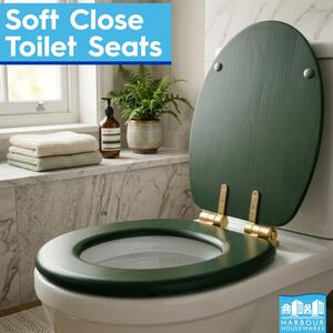 Wooden Soft Close Toilet Seat - Green/Gold