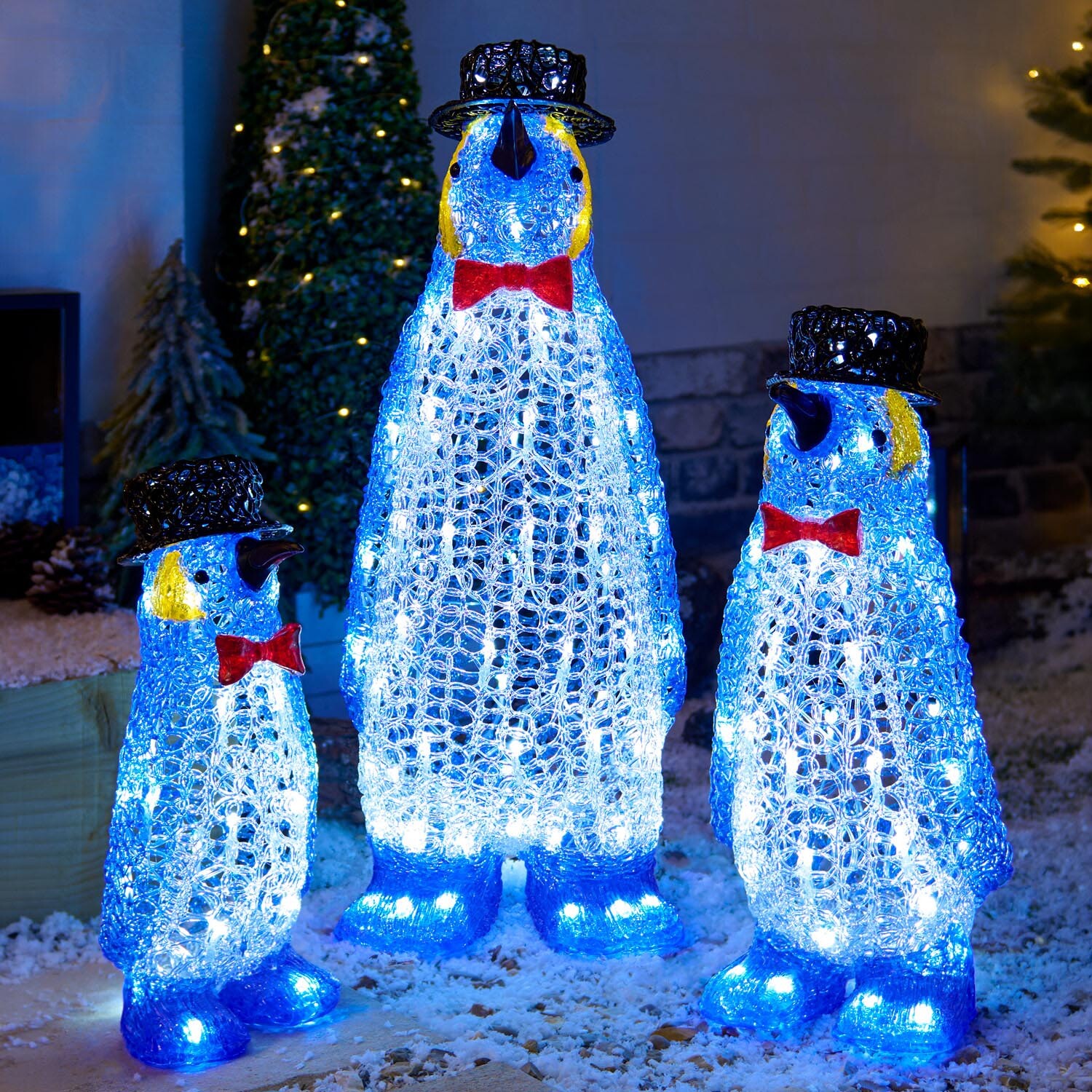 Set of 3 Acrylic Smart Penguin Family - Image 2