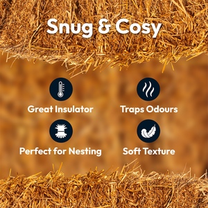  shot 21776419
